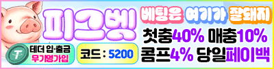 배너